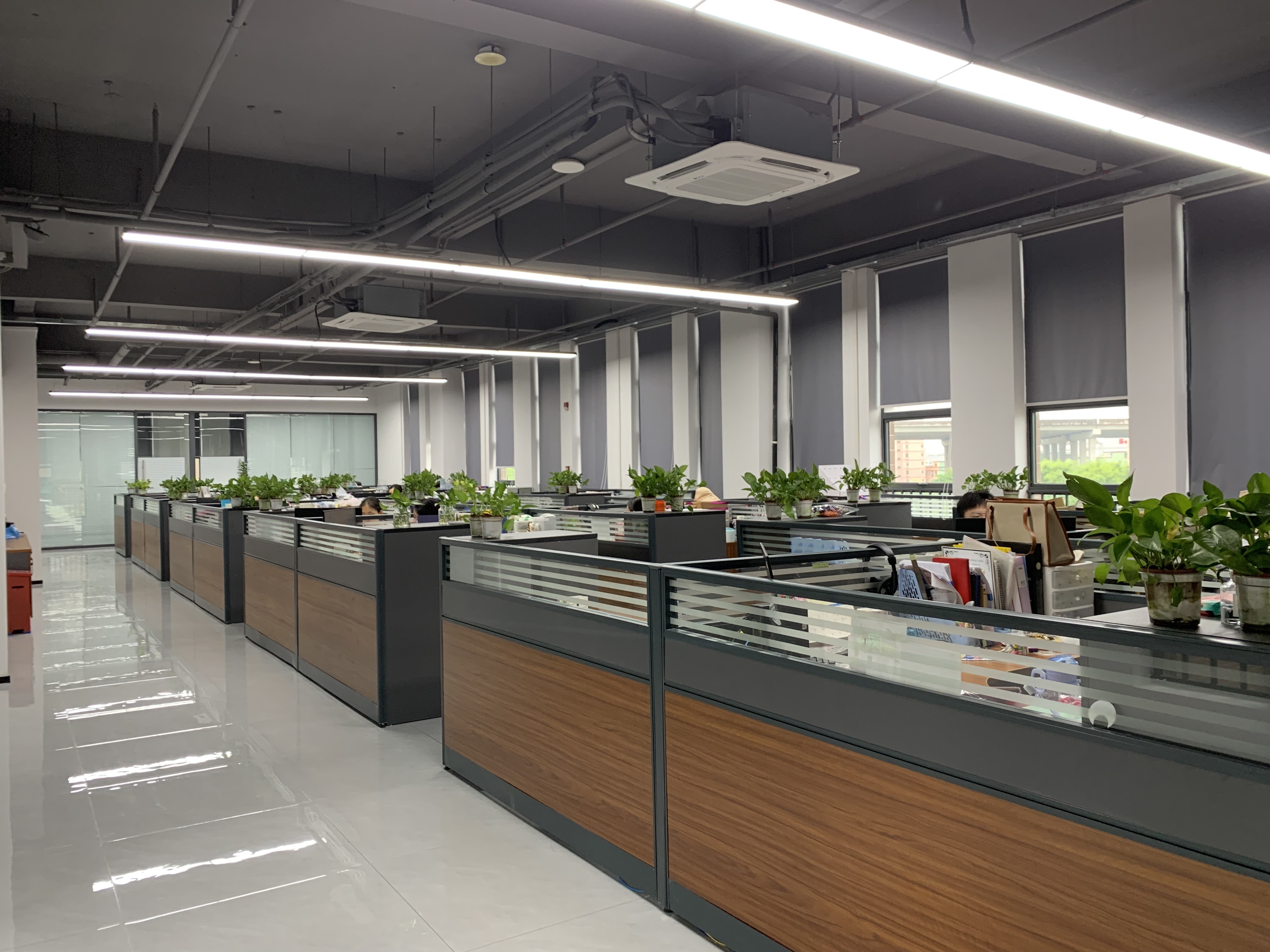 Κίνα RICHSTAR (SHENZHEN) LIMITED Εταιρικό Προφίλ